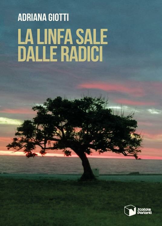 Clicca sulla cover per acquistare il romanzo di Adriana Giotti
