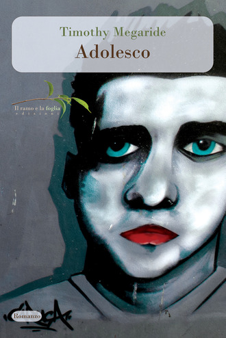 Clicca sulla cover per acquistare il romanzo