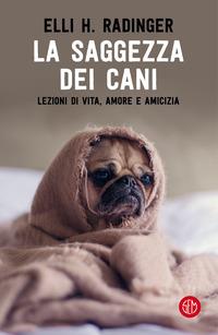 Clicca sulla cover per acquistare il libro