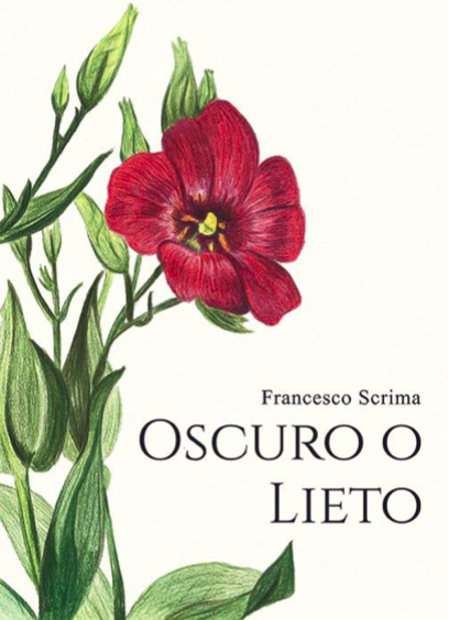 Clicca sulla cover per acquistare il libro