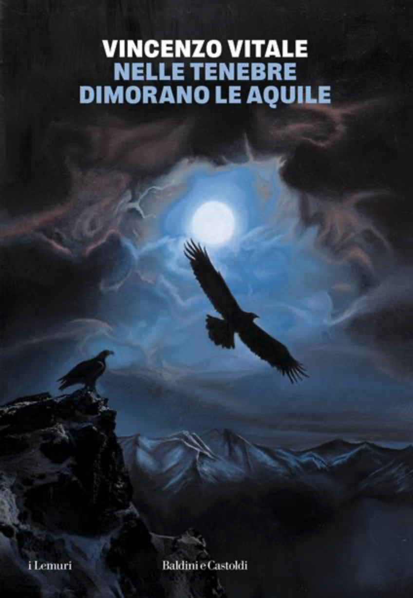 Clicca sulla cover per acquistare il libro